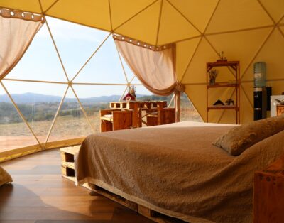 Geodesic Dome